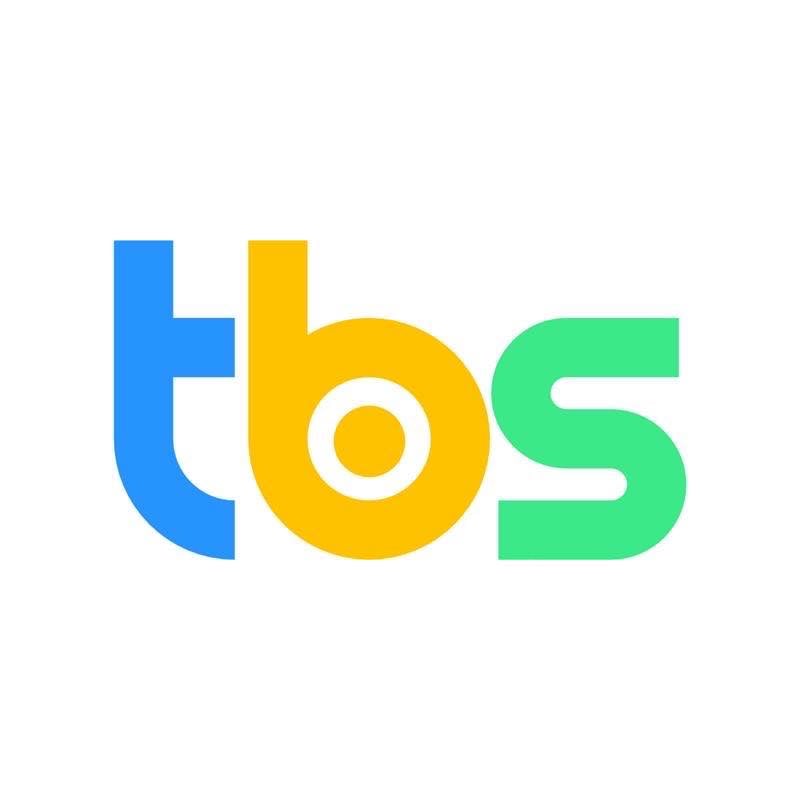 THE BUSINESS SEO COMPANY LIMITED