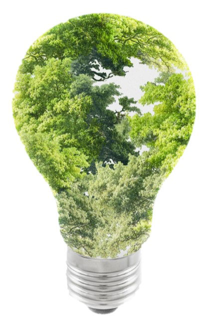 คาร์บอนเครดิต คืออะไร, คาร์บอนเครดิต ในไทย, คาร์บอนเครดิต ราคา, คาร์บอนเครดิต อบก, คาร์บอนเครดิต ภาษี, ภาษีคาร์บอน, คาร์บอนเครดิต ต้นไม้, การขายคาร์บอนเครดิต ต้นไม้, โครงการปลูกป่า คาร์บอนเครดิต, ขายคาร์บอนเครดิต